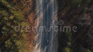 当汽车在穿过森林的道路上行驶时，空气视野。 汽车穿过森林。 空中观景4K